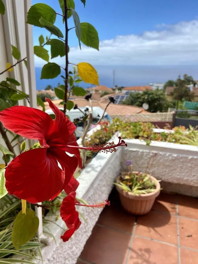 Apartamento Guanche Bay Santa Cruz de Tenerife