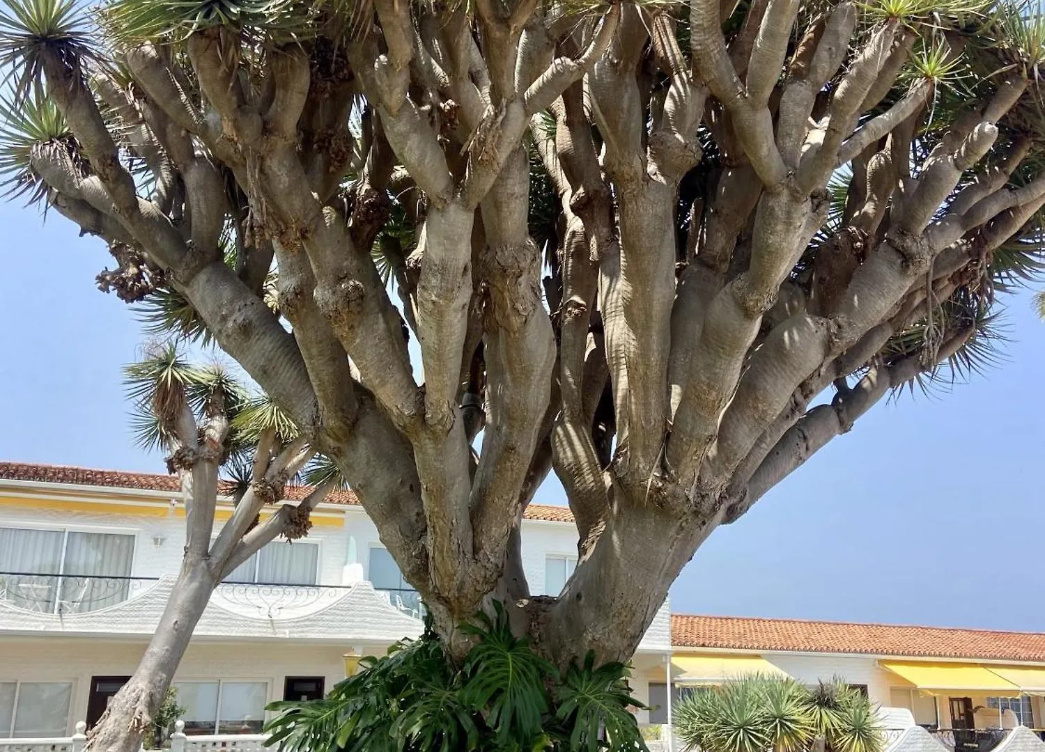 Guanche Bay Apartment Santa Cruz de Tenerife